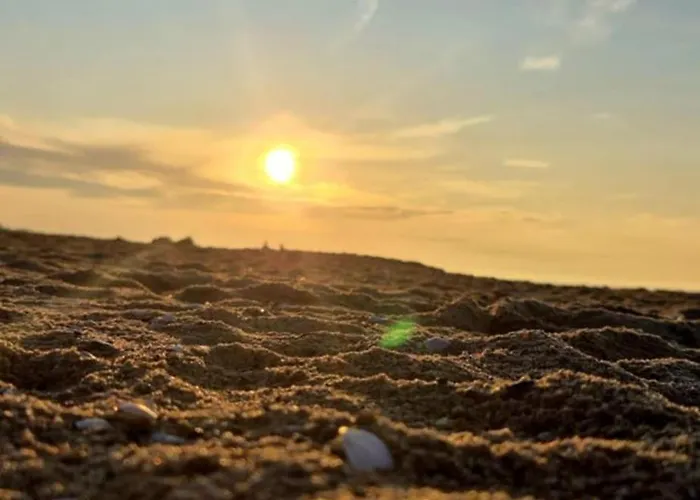 Przystan Sobieszewo Bed & Breakfast Gdansk