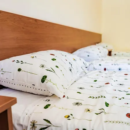 Bed & Breakfast Przystan Sobieszewo Vega Gdańsk
