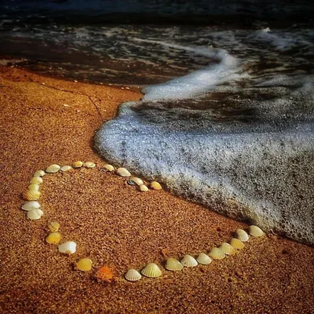 Przystan Sobieszewo 2* غدانسك